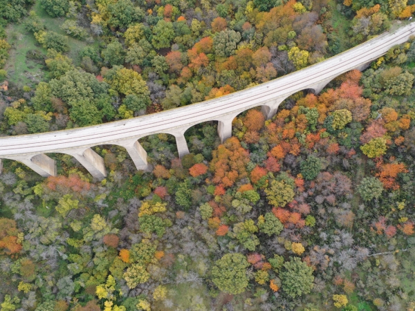 FITUR 2024: UN RECORRIDO DE 10 AÑOS DE PROYECTOS DE INNOVACIÓN TURÍSTICA EN LA SIERRA NORTE DE MADRID